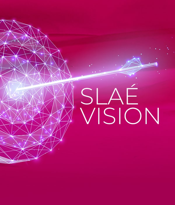 About SLAE – My Store